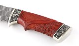 Нож из дамасской стали Бобр, долы, камень, рукоять - падук, резьба, литье