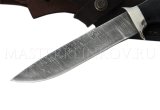Нож из дамасской стали Соболь, рукоять - черный граб, мельхиор