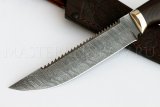 Нож из дамасской стали Осетр пила, рукоять - черный граб, мельхиор